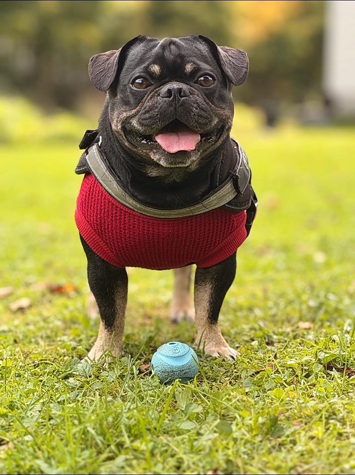 Onyx posing for Instagram